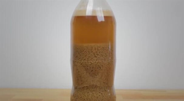 可乐牛奶混在一起如此恐怖?真相了