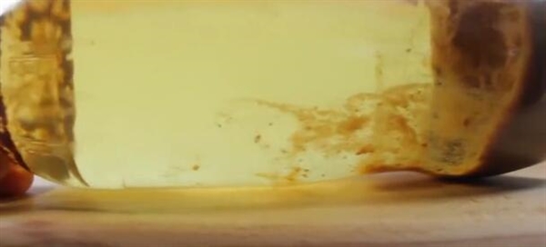 可乐牛奶混在一起如此恐怖?真相了