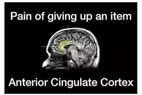 手被纸割伤为啥辣么疼?多年疑问终于解开