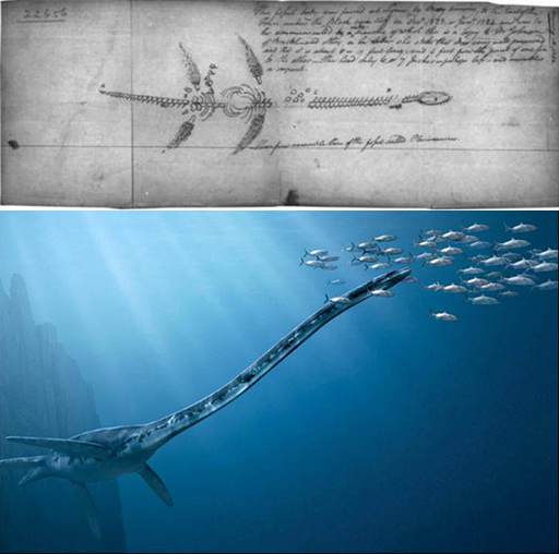 蛇颈龙复原图_副本_副本 蛇颈龙复原图_副本_副本