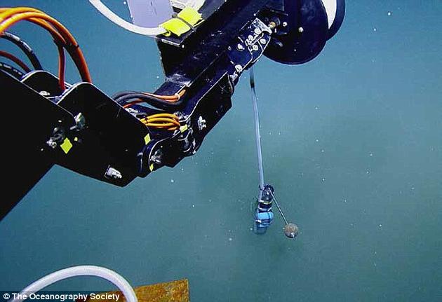 研究团队采集了卤水池的微生物样本,这些微生物已经适应了卤水池中高盐度和低氧量的恶劣环境。