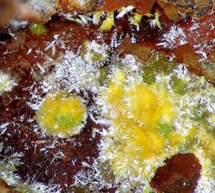 地球上最危险的东西!造核弹 也造玻璃