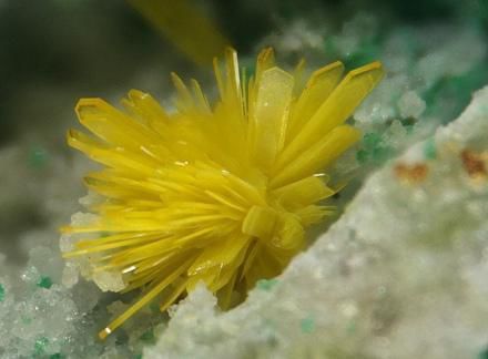 地球上最危险的东西!造核弹 也造玻璃